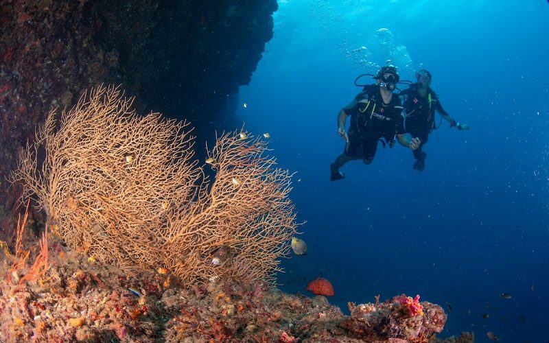 Andaman Dive Adventures