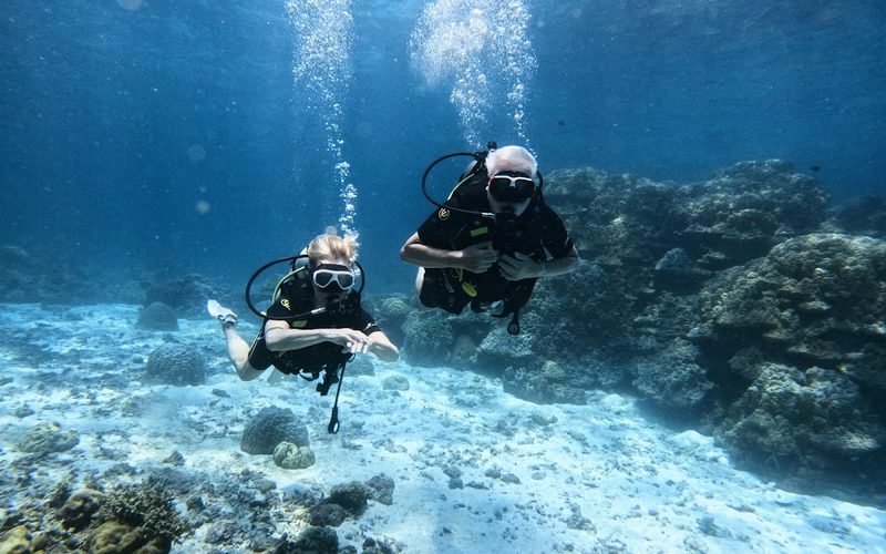 Apex Divers
