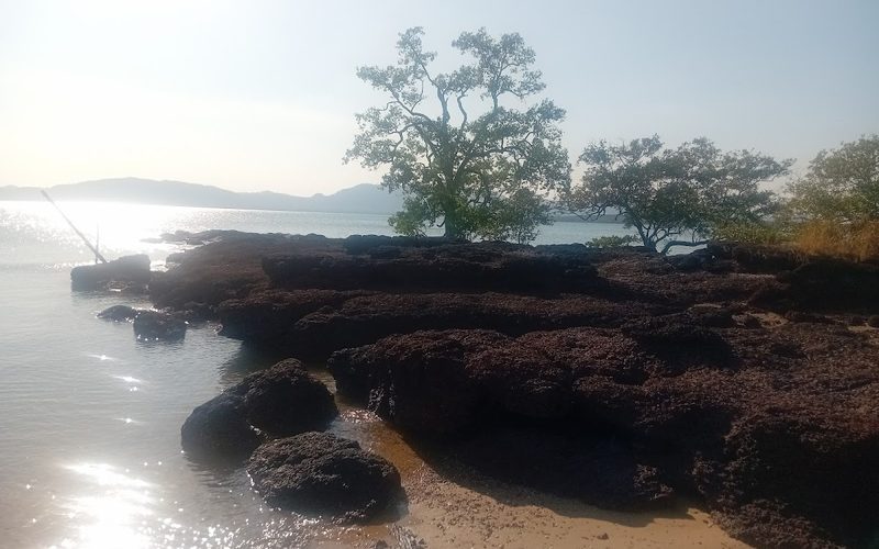 Baan Tae-Leng