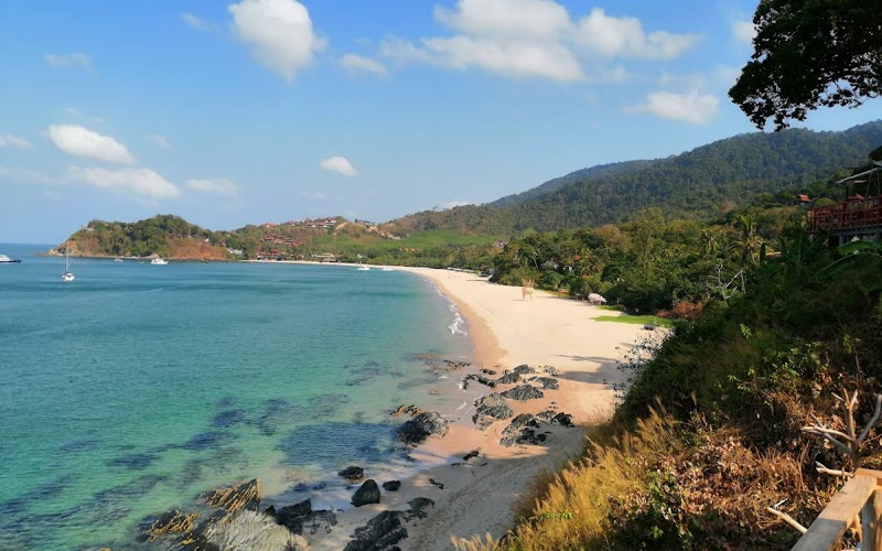 Bamboo Bay