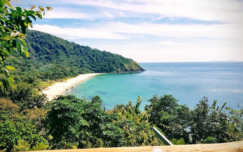 Bamboo Bay
