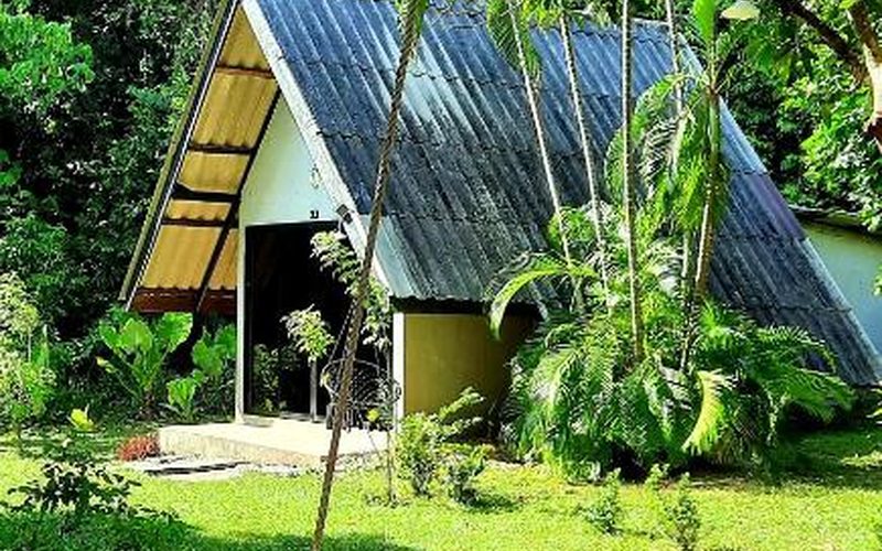 Cashewnut Tree Bungalows