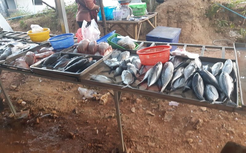 Friday Market