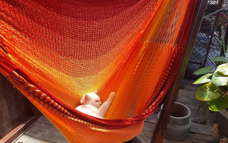Hammock House