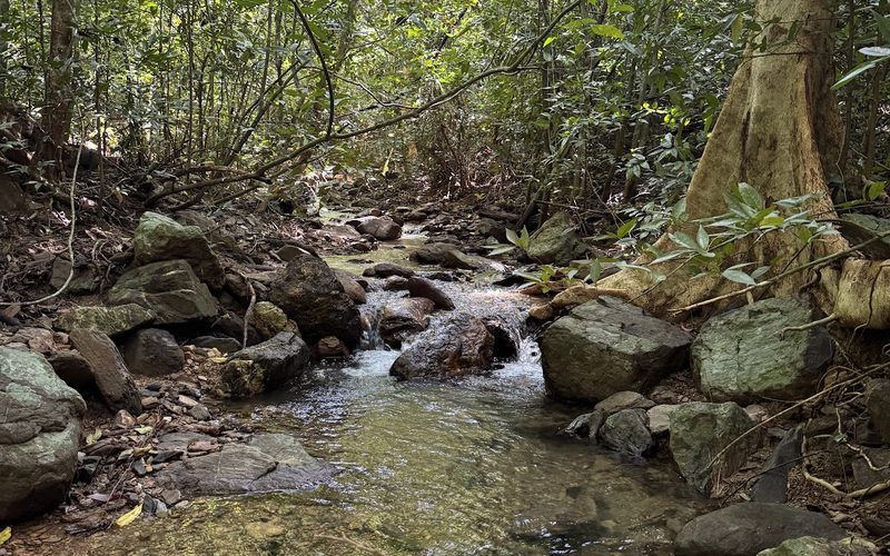 Klong Chak Waterfall