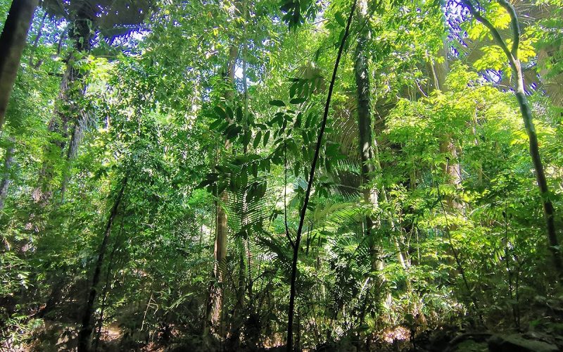 Klong Chak Waterfall