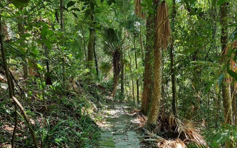 Leam Tanod Nature Trail
