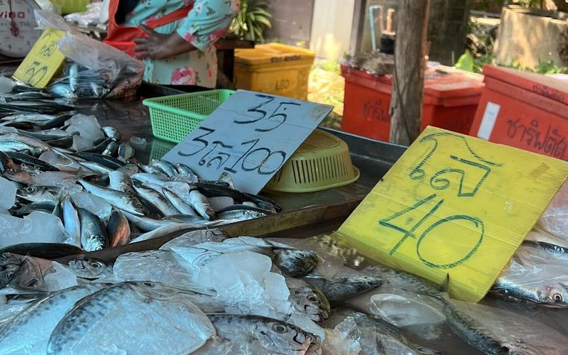 Monday Market