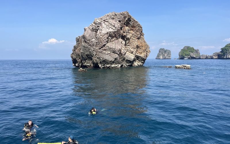 Nice Dive
