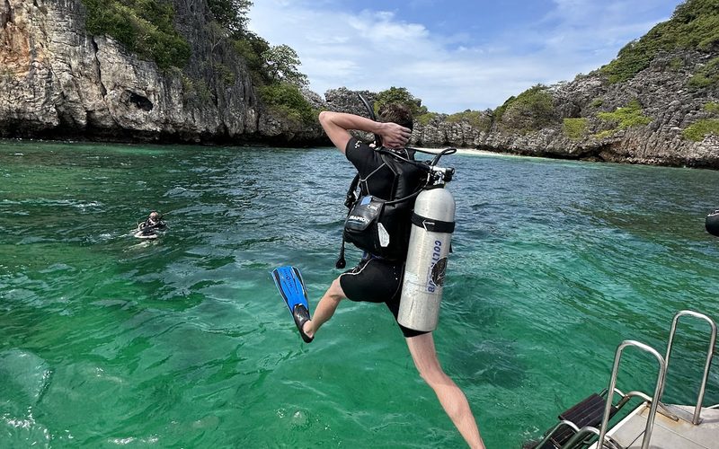 Nice Dive