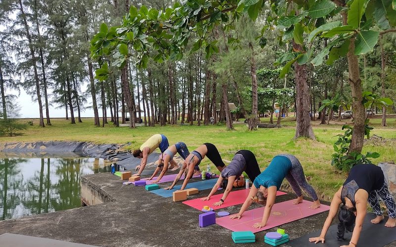 Nora Yoga